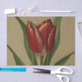Shabby Chic Lovely Red Tulip Tissuepapier (Craft)