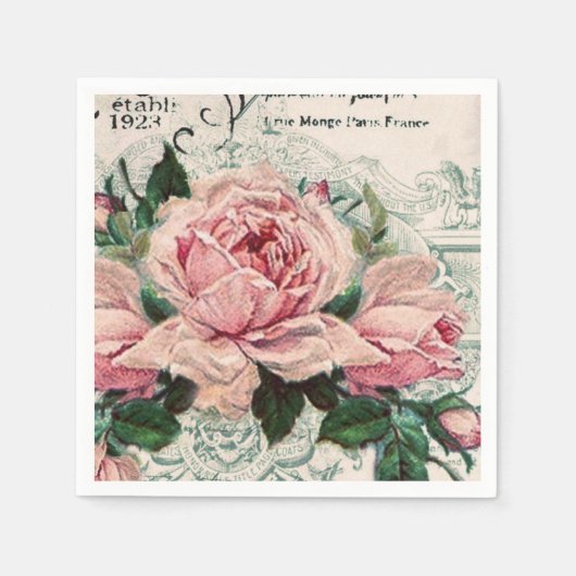 shabby chic , ontkoppeling , Victoriaans , frans c Servet (Voorkant)