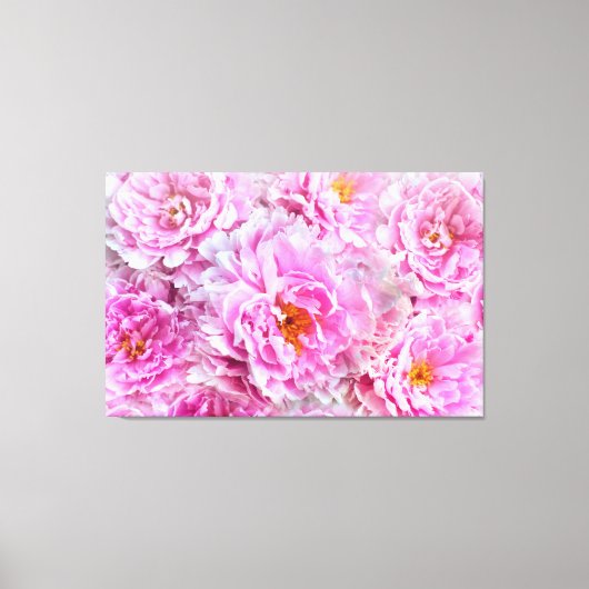 Shabby Chic Pink Pastel Pink Peonies Canvas Afdruk (Voorkant)