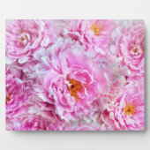 Shabby Chic Pink Pastel Pink Peonies Fotoplaat (Voorkant)