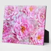 Shabby Chic Pink Pastel Pink Peonies Fotoplaat (Zijkant)