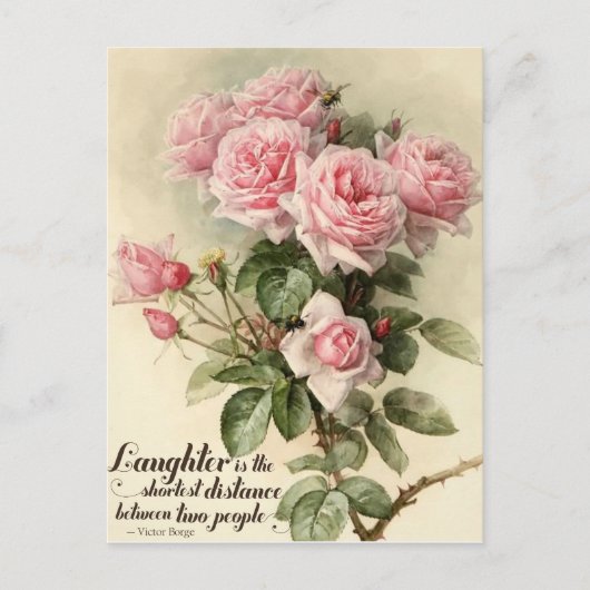Shabby Chic Pink Victoriaans Rozen Briefkaart (Voorkant)