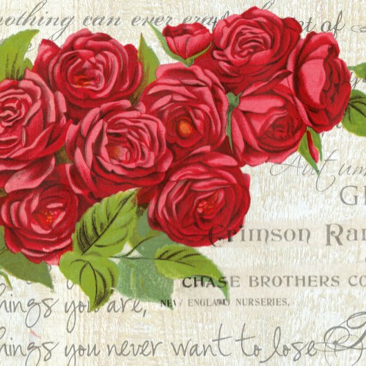 Shabby Chic Red Roses Antiek script Sleutelhanger