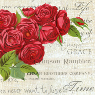  Shabby Chic Red Roses op Antiek script Lichaamskussen