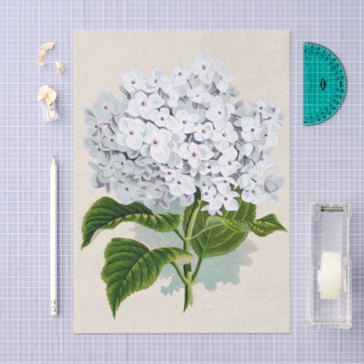 Shabby Chic Verse Witte Bloemen met Roze Harten Tissuepapier (Craft)