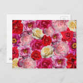  Shabby Chic Vibrant Country Rozen Briefkaart (Voorkant / Achterkant)