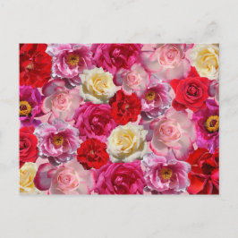  Shabby Chic Vibrant Country Rozen Briefkaart