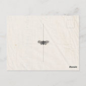 Shabby Chic Wedding geperste bloemen Save the Date Briefkaart (Achterkant)