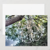 Shabby Chic White Crystal Chandelier (Voorkant / Achterkant)