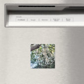 Shabby Chic White Crystal Chandelier Magneet (Insitu (Vaatwasser))