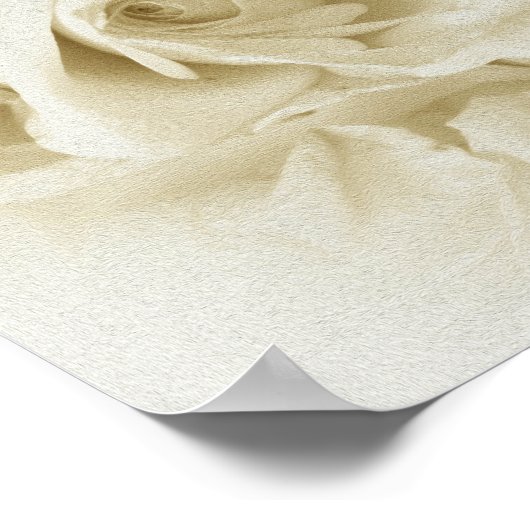  Shabby Chic White Rose en Script Poster (Hoek)