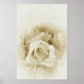  Shabby Chic White Rose en Script Poster (Voorkant)