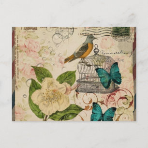 shabby elegance botanische vogel provincie frankri briefkaart