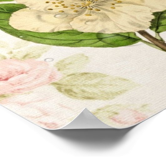 shabby elegance camellia vlinder poster (Hoek)