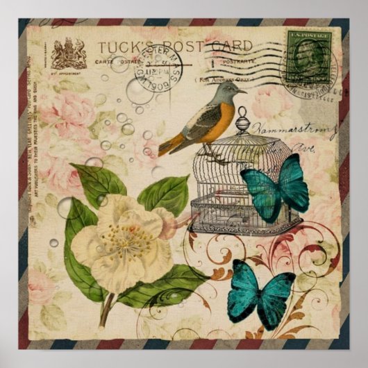 shabby elegance florale vogel frans botanisch poster (Voorkant)