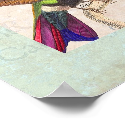 Shabby Elegance  Mode Collage Poster (Hoek)