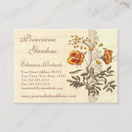 Shabby Elegance  Poinciana Flowers Visitekaartje