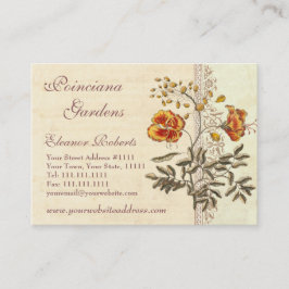 Shabby Elegance Poinciana Flowers Visitekaartje