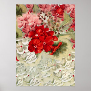 Shabby  ivoor roze rood spoeltje poster
