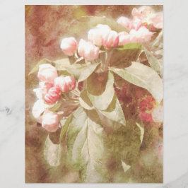 Shabby Pink Apple Blossom Scrapbook Paper