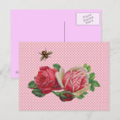 Shabby Rozen Briefkaarten (Voorkant / Achterkant)