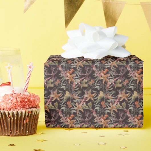 Shabby Zee Life Pattern Cadeaupapier (Verjaardagsfeest)