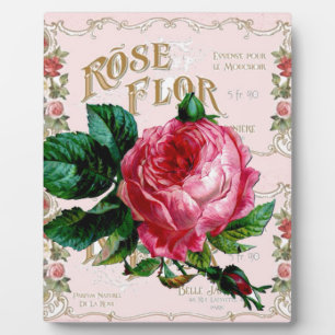 SHABBYCHIC Engelse Roos vintage roze Fotoplaat