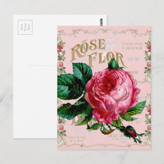 SHABBYCHIC English Roos  roze Briefkaart (Voorkant / Achterkant)