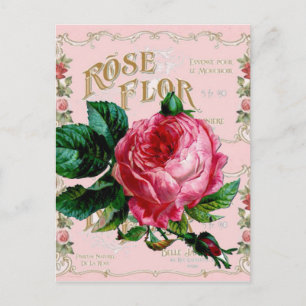 SHABBYCHIC English Roos  roze Briefkaart