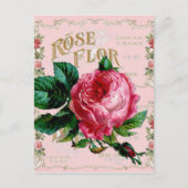 SHABBYCHIC English Roos  roze Briefkaart (Voorkant)
