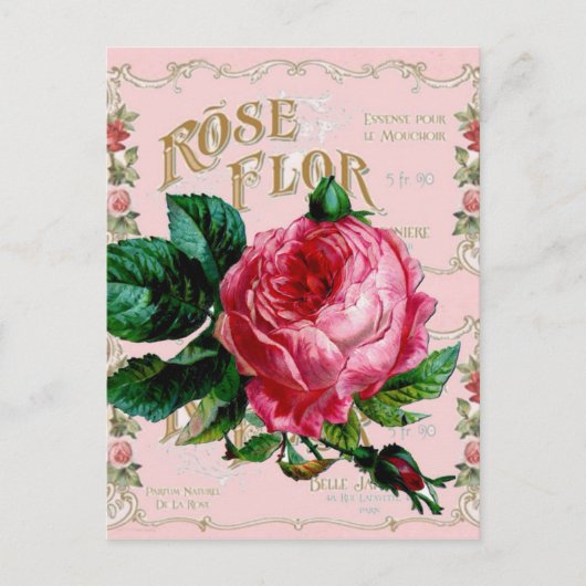 SHABBYCHIC English Roos  roze Briefkaart (Voorkant)