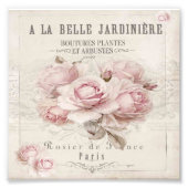 shabbykic, rustic, , floreel, collage, land; foto afdruk (Voorkant)