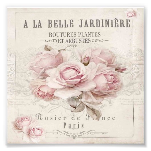 shabbykic, rustic, , floreel, collage, land; foto afdruk (Voorkant)