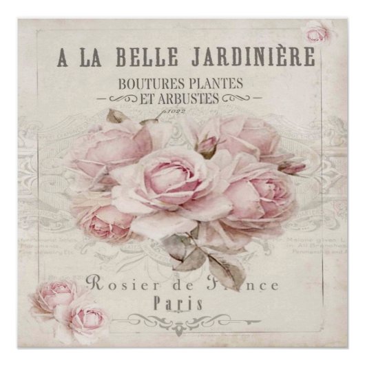 shabbykic, rustic, , floreel, collage, land; perfect poster (Voorkant)