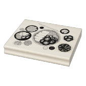 Shabu-Shabu Japan Japanse keuken Hotpot Rubberstempel (Stempel)