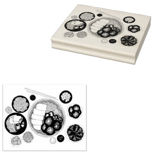 Shabu-Shabu Japan Japanse keuken Hotpot Rubberstempel