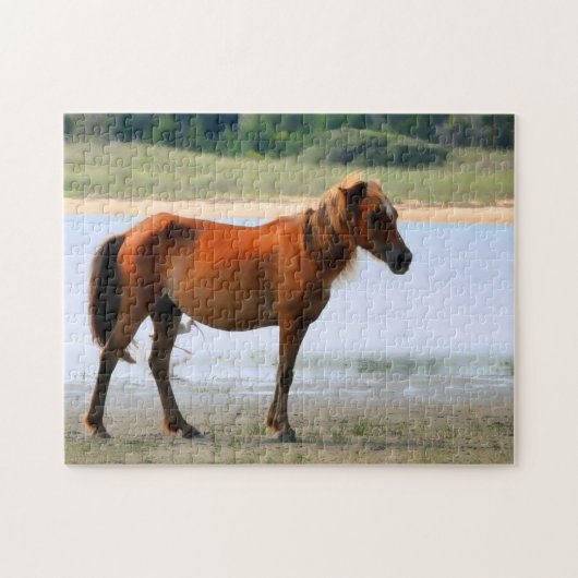 Shackleford Banks Horse Legpuzzel (Horizontaal)