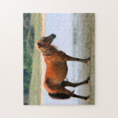 Shackleford Banks Horse Legpuzzel (Verticaal)