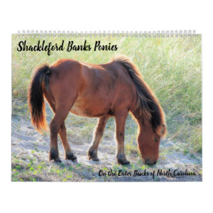 Shackleford Banks Ponies Kalender