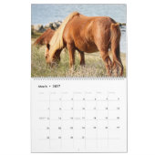 Shackleford Banks Ponies Kalender (Mar 2027)