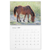 Shackleford Banks Ponies Kalender (Jan 2027)