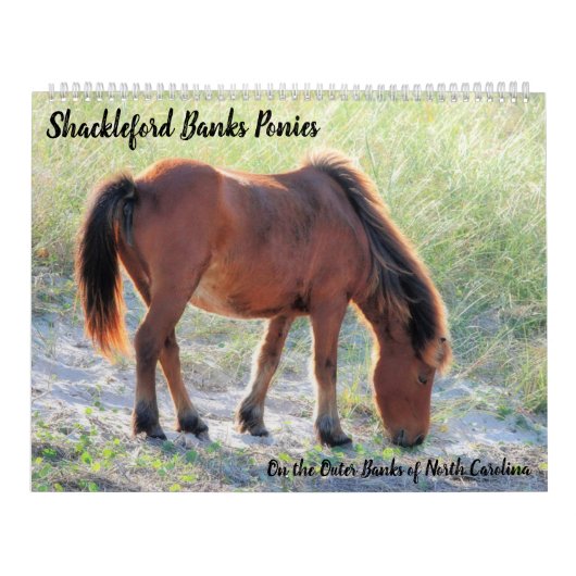 Shackleford Banks Ponies Kalender (Hoes)