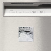 Shackleton Ice Shelf, Antarctica Magneet (Insitu (Vaatwasser))