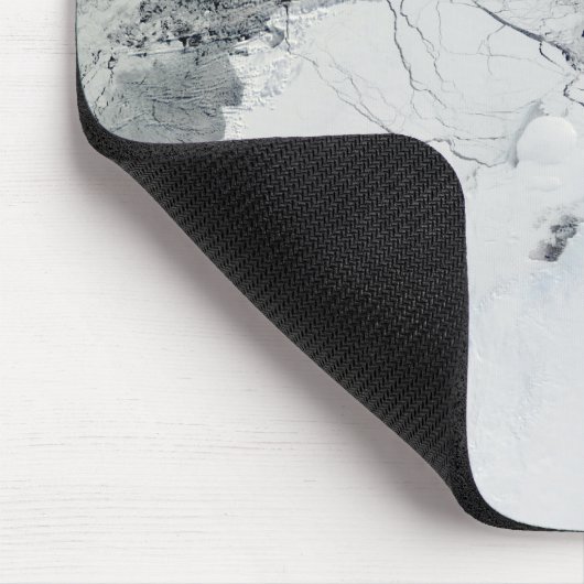 Shackleton Ice Shelf, Antarctica Muismat (Hoek)