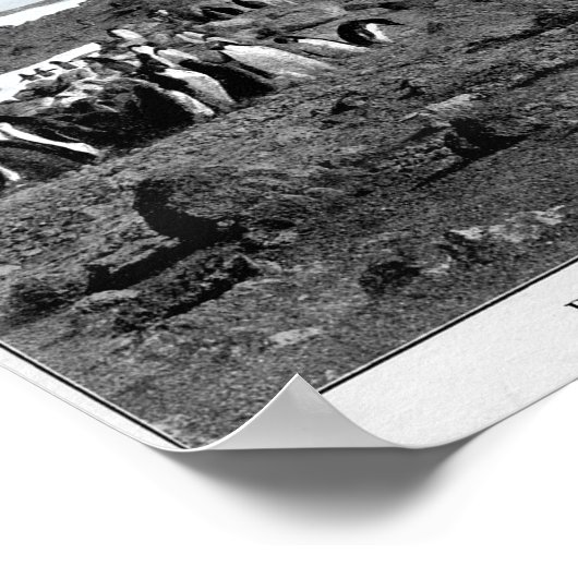 Shackleton in Antarctische Gramophone met pinguïns Poster (Hoek)