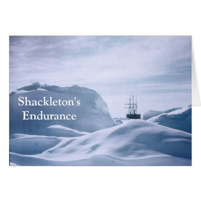 Shackleton's duurzaamheid (Voorkant Horizontaal)