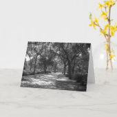 Shade 'neath Spanish Moss Kaart (Gele Bloem)