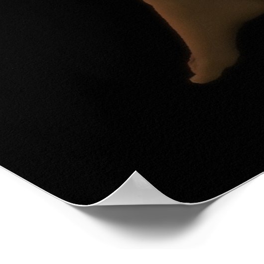 Shade Poster (Hoek)