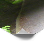 Shaded Botanic Garden Arbor Poster (Hoek)