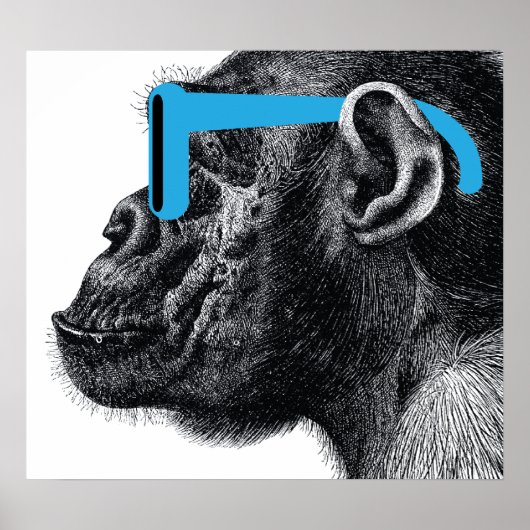 Shades Funny Poster (Voorkant)